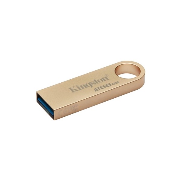 Kingston datatraveler se9 g3 256gb usb 3.2 gen1